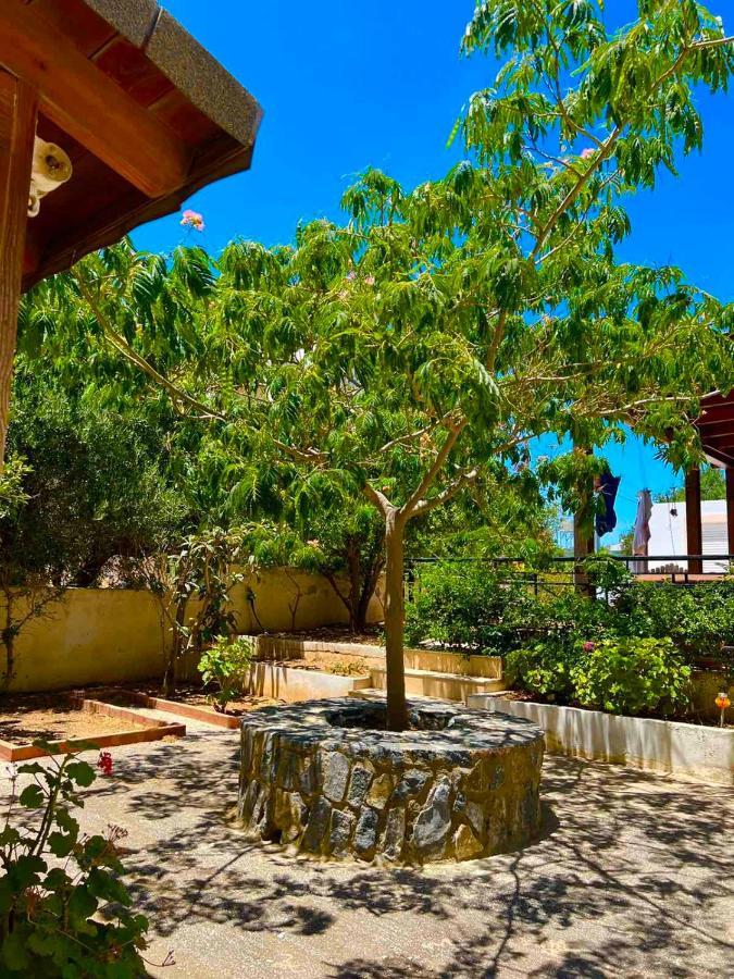 Cherrywood Creta Apartment Jerapetra Zewnętrze zdjęcie
