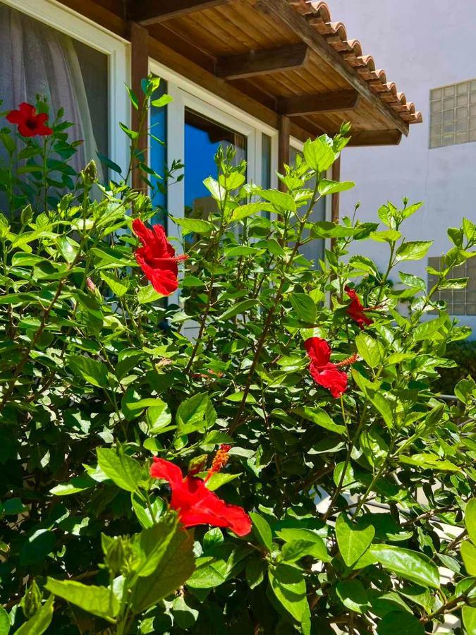 Cherrywood Creta Apartment Jerapetra Zewnętrze zdjęcie